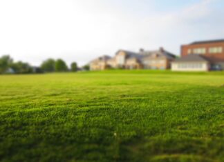 Alles wat je moet weten over graszoden en grasmatten! grasmatten en kunstgras