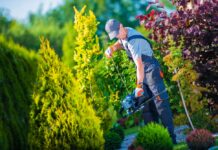 Vind het perfecte gereedschap voor het klussen in de tuin heggenschaar man