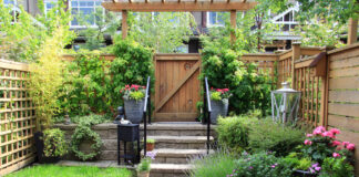 Kleine tuin? Zo creëer je zelf meer leefruimte klein tuin